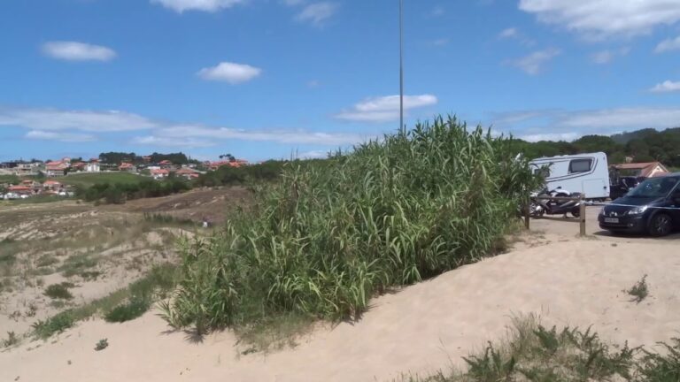 Playas gallegas: disfruta del paraíso en la costa con pinar