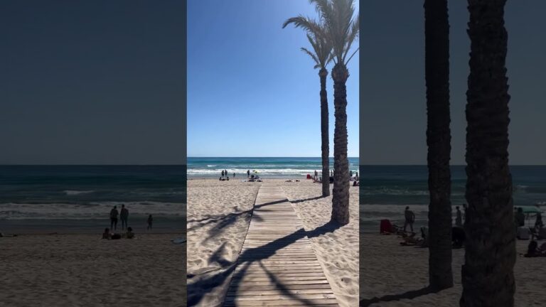 Descubre el encanto del Paseo Marítimo de Playa de San Juan, Alicante